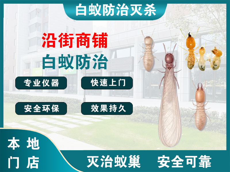 新北区沿街商铺白蚁防治