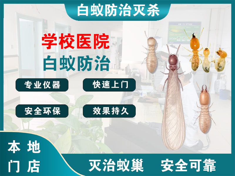 新北区学校医院白蚁防治