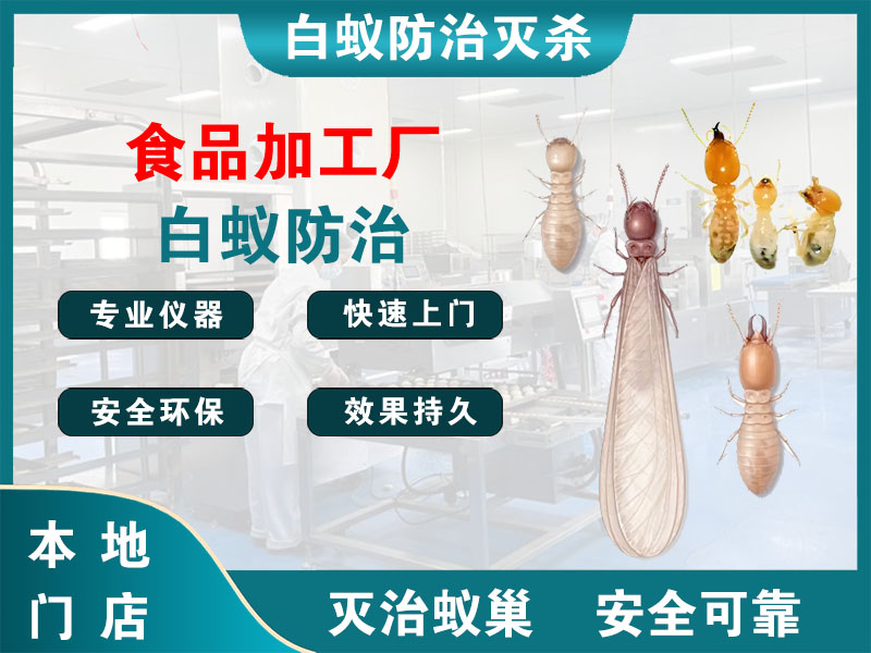 新北区食品加工厂白蚁防治