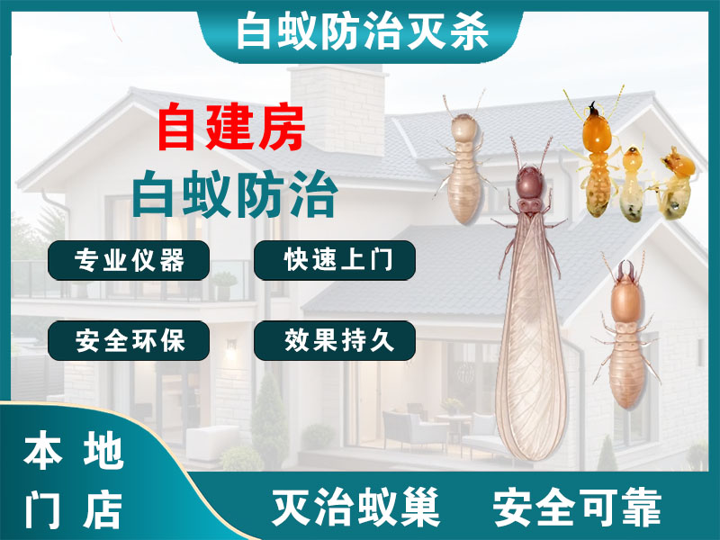 新北区自建房白蚁防治