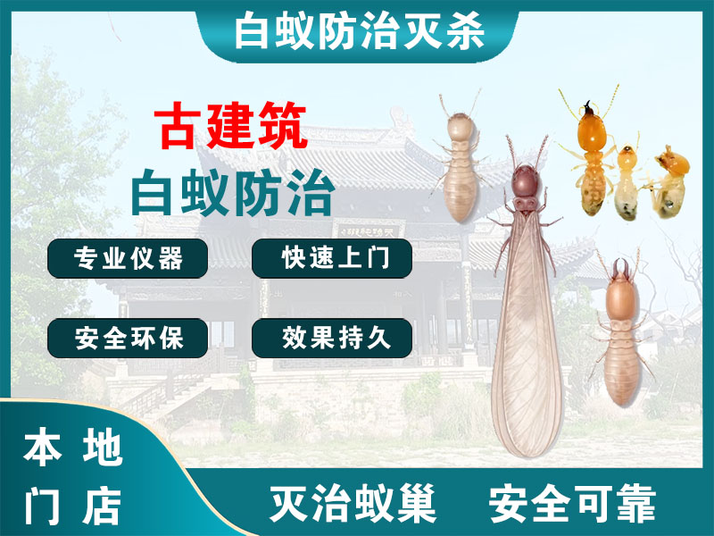 新北区古建筑白蚁防治